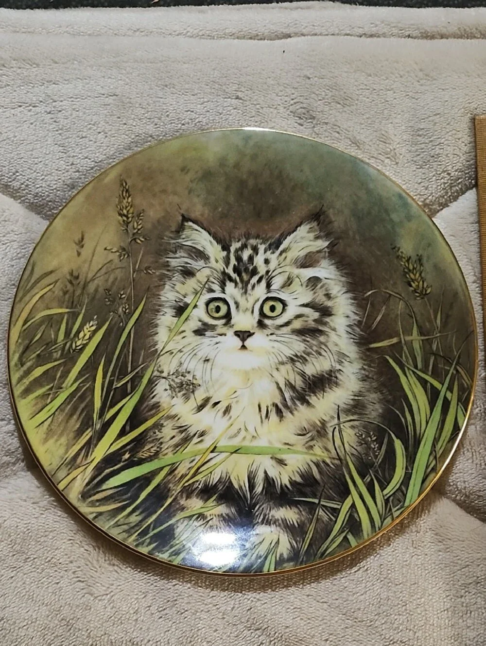 1985 Royal Worcester Green and Cream Kitten Decorative Plate